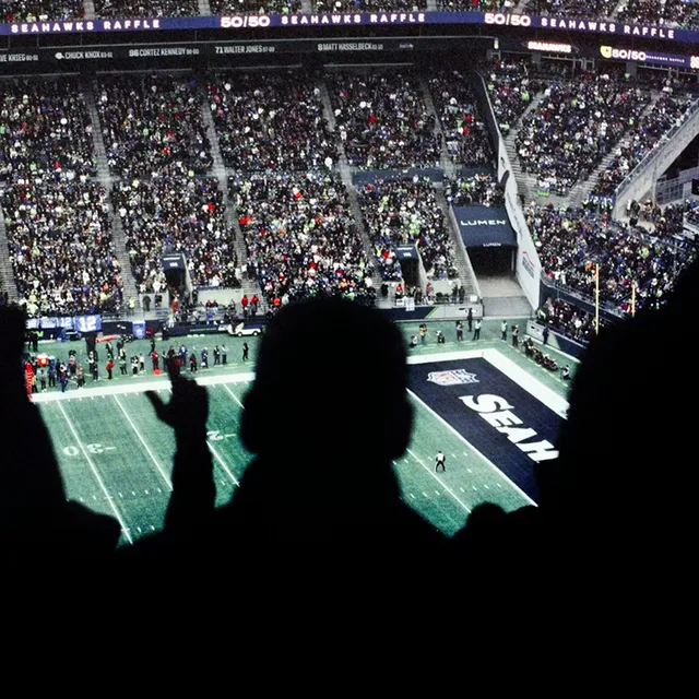 Crowd in a stadium representing audience attention and demand